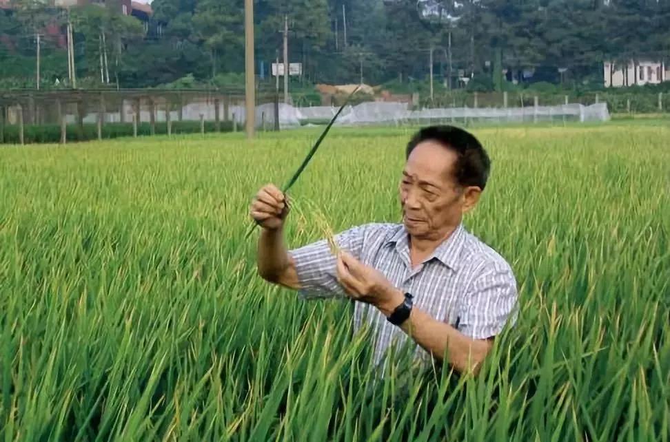 湖南华辉会计师事务所有限责任公司,湖南正德能达资产评估有限公司,财务审计,工程造价,记帐报税,资产评估,湖南财务管理哪家好