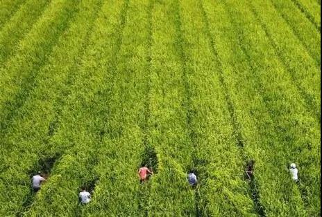 湖南华辉会计师事务所有限责任公司,湖南正德能达资产评估有限公司,财务审计,工程造价,记帐报税,资产评估,湖南财务管理哪家好