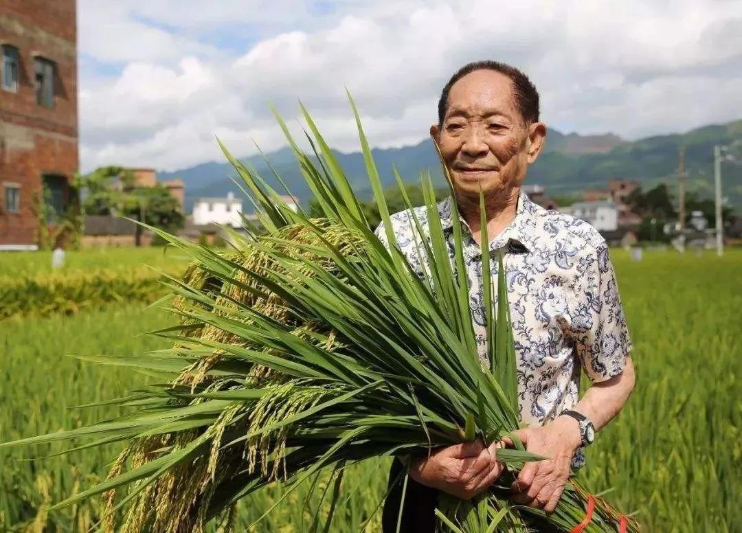湖南华辉会计师事务所有限责任公司,湖南正德能达资产评估有限公司,财务审计,工程造价,记帐报税,资产评估,湖南财务管理哪家好